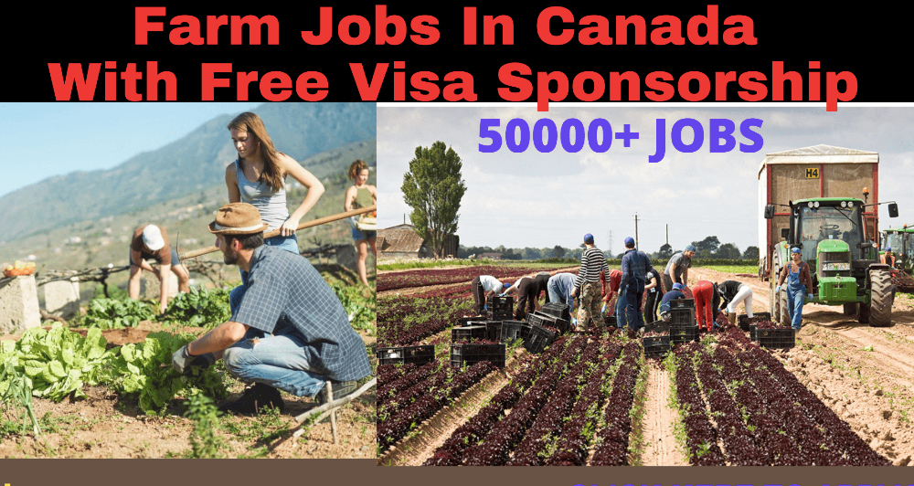 Urgent Farm Jobs In Canada With Free Visa Sponsorship 2022